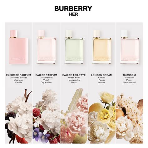 burberry her eau de parfum ingredients|best discontinued Burberry fragrance.